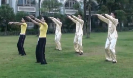 健康操视频,轻松打造活力生活