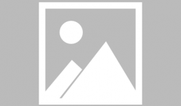 大猩猩交配视频高清,高清交配视频揭秘神秘生活